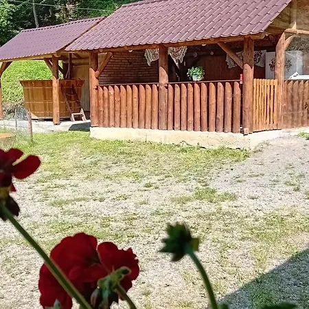 Cabanute Izbandis *